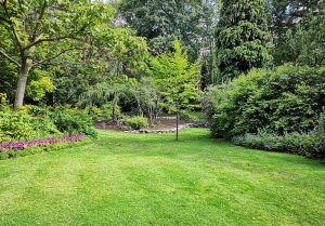 Optimiser l'expérience du jardin à Contamine-sur-Arve