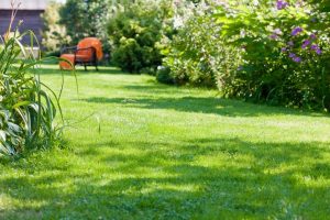 travaux jardin et paysage Contamine-sur-Arve